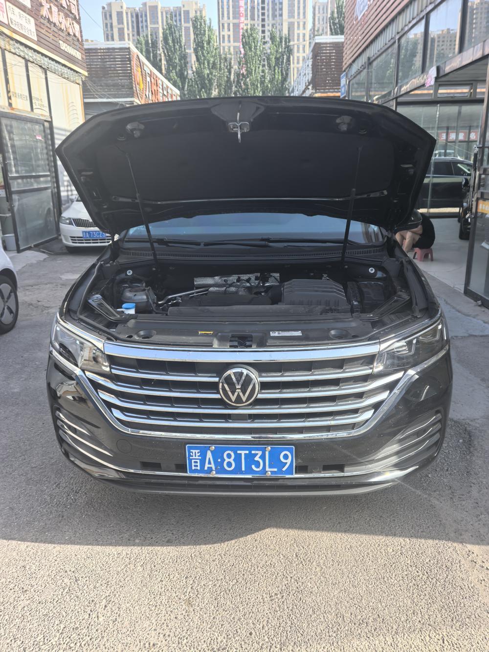 Volkswagen Viloran
