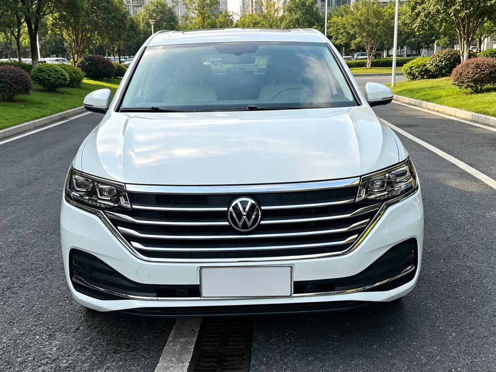 Volkswagen Viloran