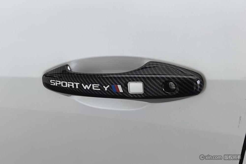 WEY WEY VV5