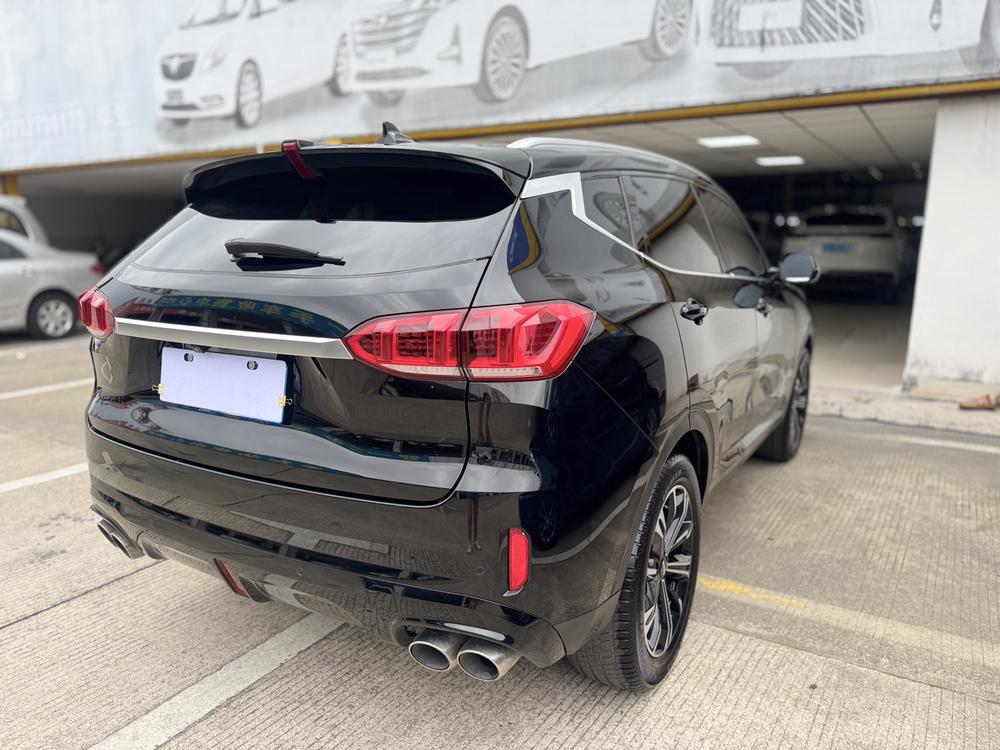 WEY WEY VV6