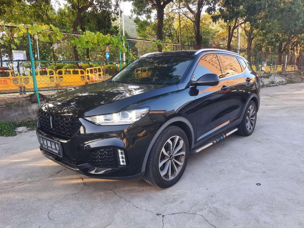 WEY WEY VV6