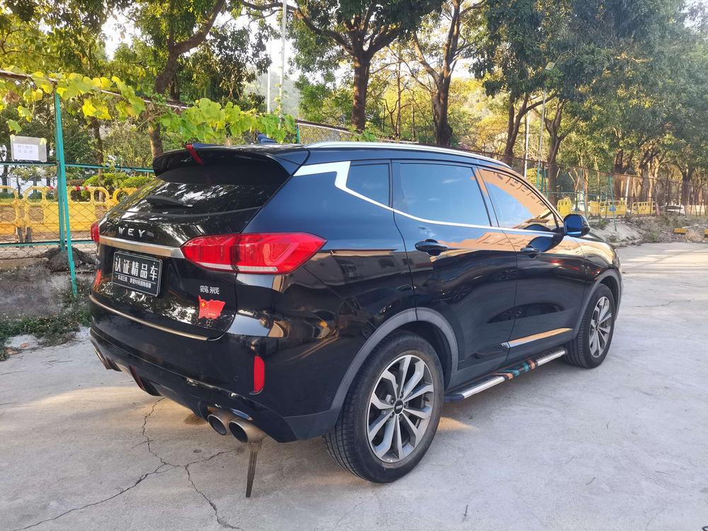 WEY WEY VV6