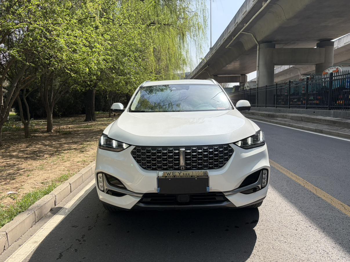WEY WEY VV6
