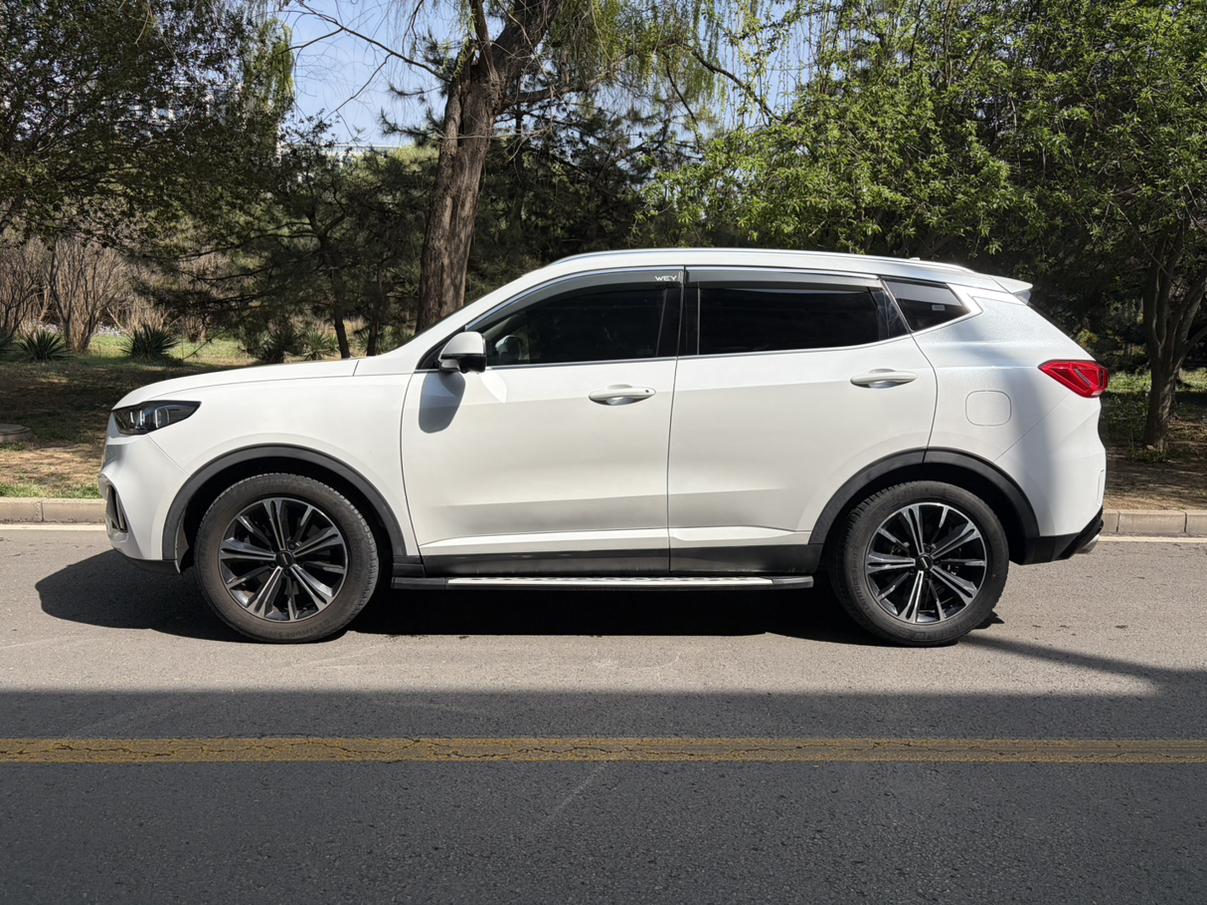 WEY WEY VV6