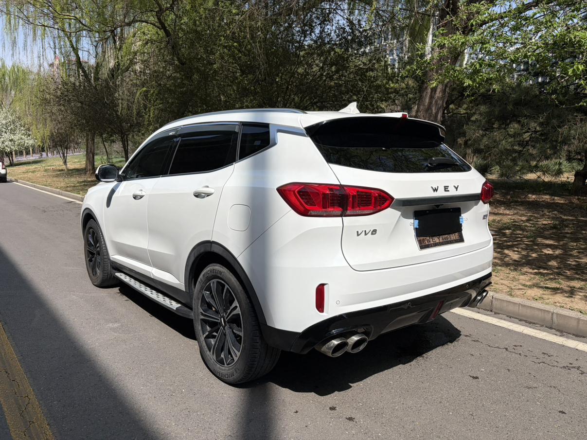 WEY WEY VV6