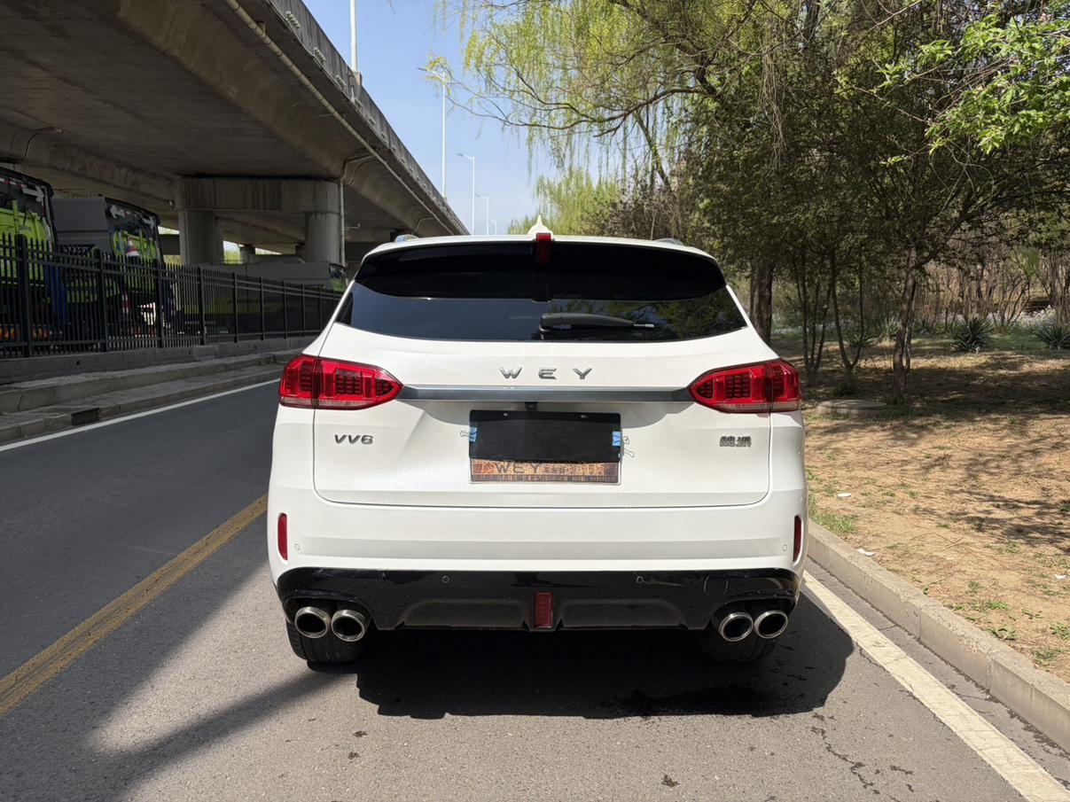 WEY WEY VV6