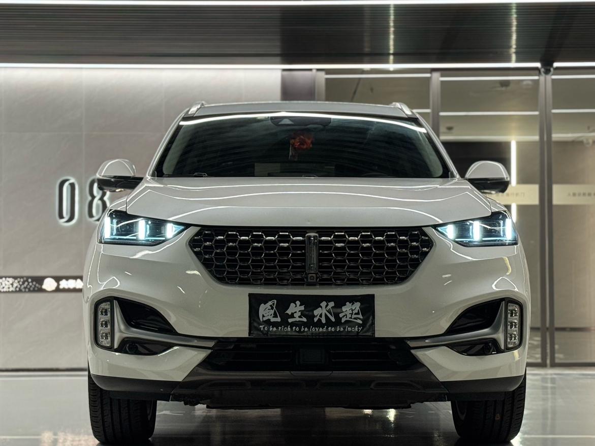 WEY WEY VV6