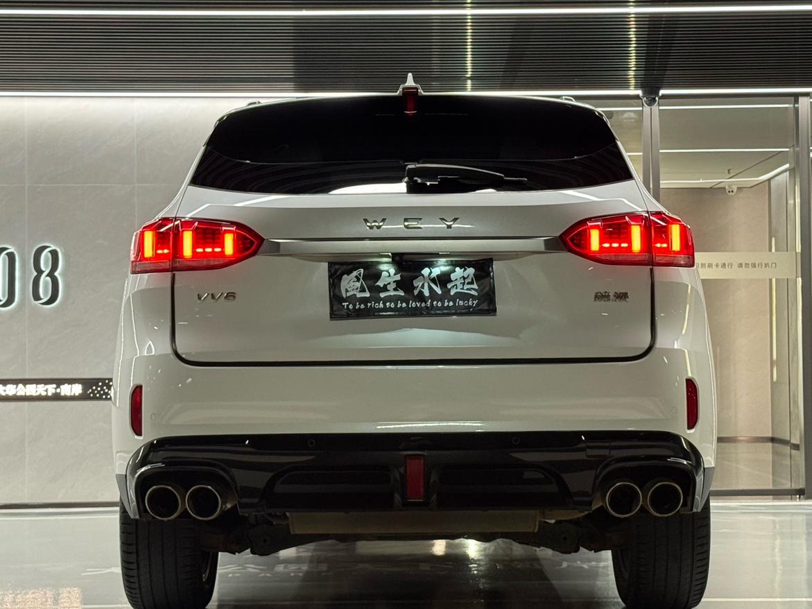 WEY WEY VV6