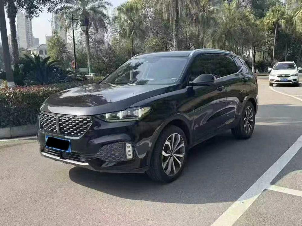 WEY WEY VV6