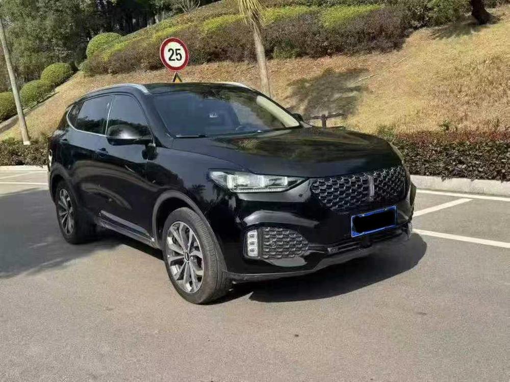 WEY WEY VV6