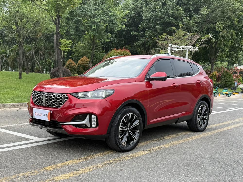 WEY WEY VV6