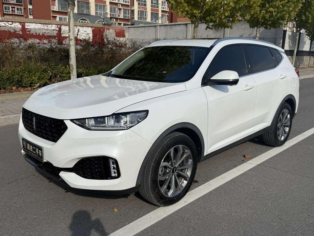WEY WEY VV6