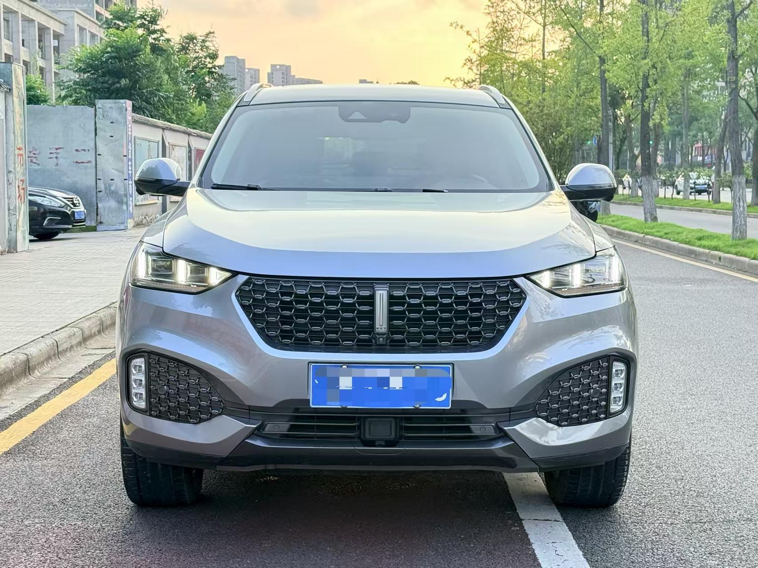 WEY WEY VV6