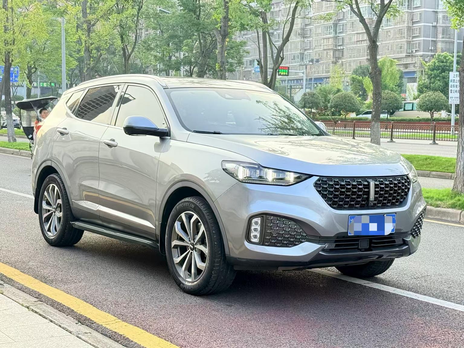 WEY WEY VV6
