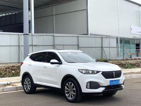 WEY WEY VV6