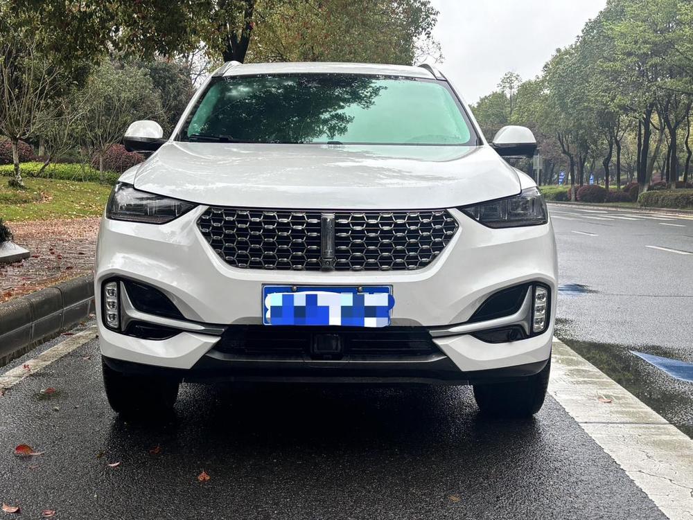 WEY WEY VV6