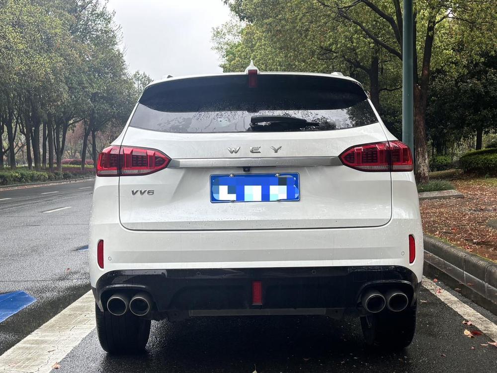 WEY WEY VV6