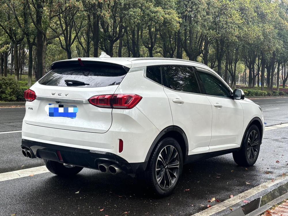 WEY WEY VV6