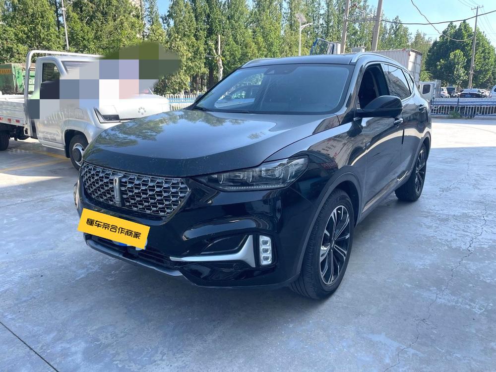 WEY WEY VV6