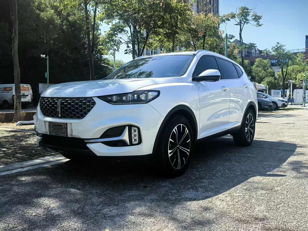 WEY WEY VV6