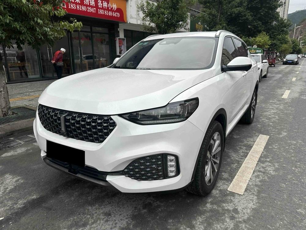 WEY WEY VV6