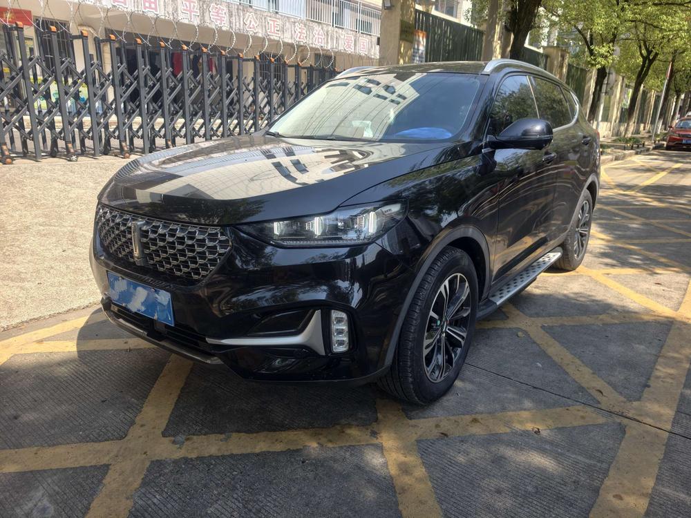 WEY WEY VV6