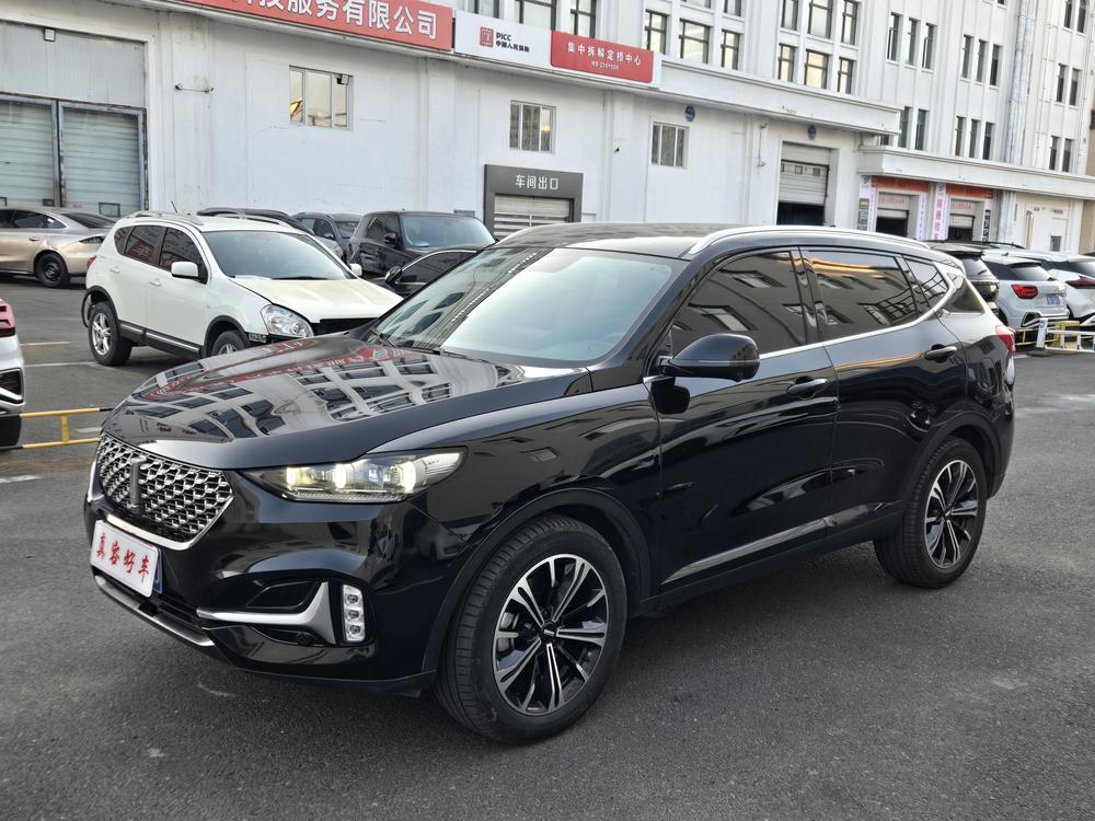 WEY WEY VV6