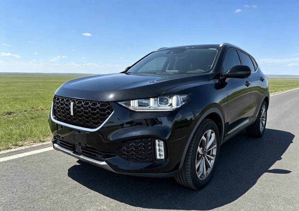 WEY WEY VV6