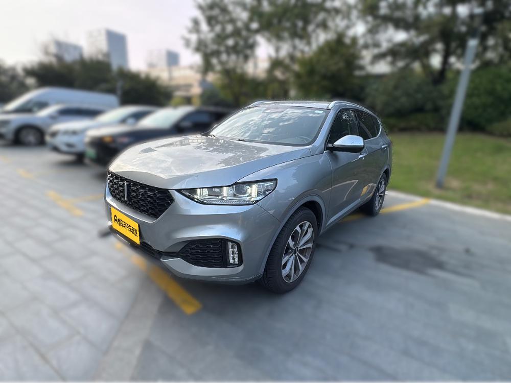 WEY WEY VV6