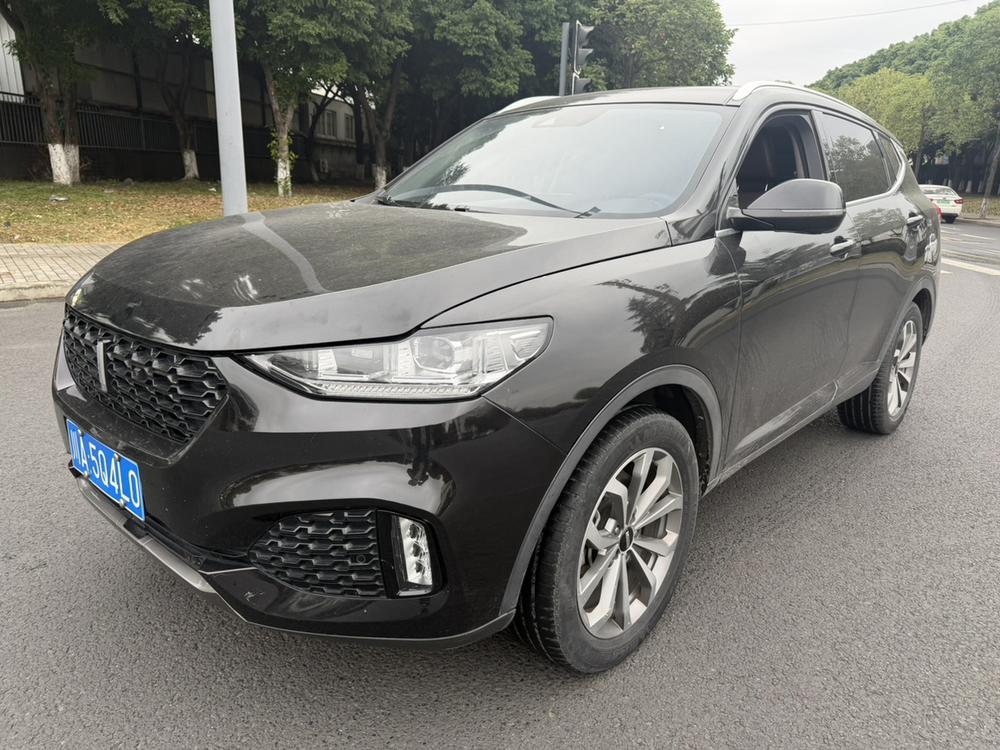 WEY WEY VV6