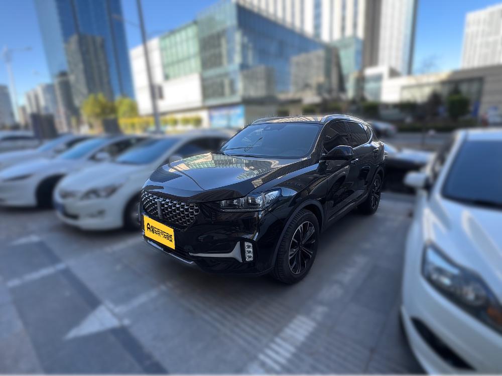 WEY WEY VV6