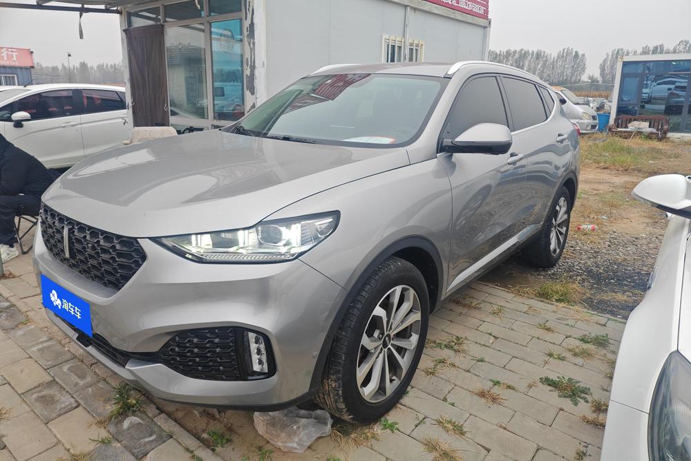 WEY WEY VV6