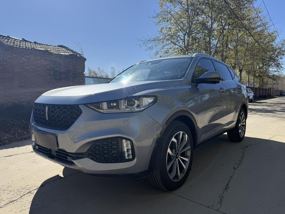 WEY WEY VV6