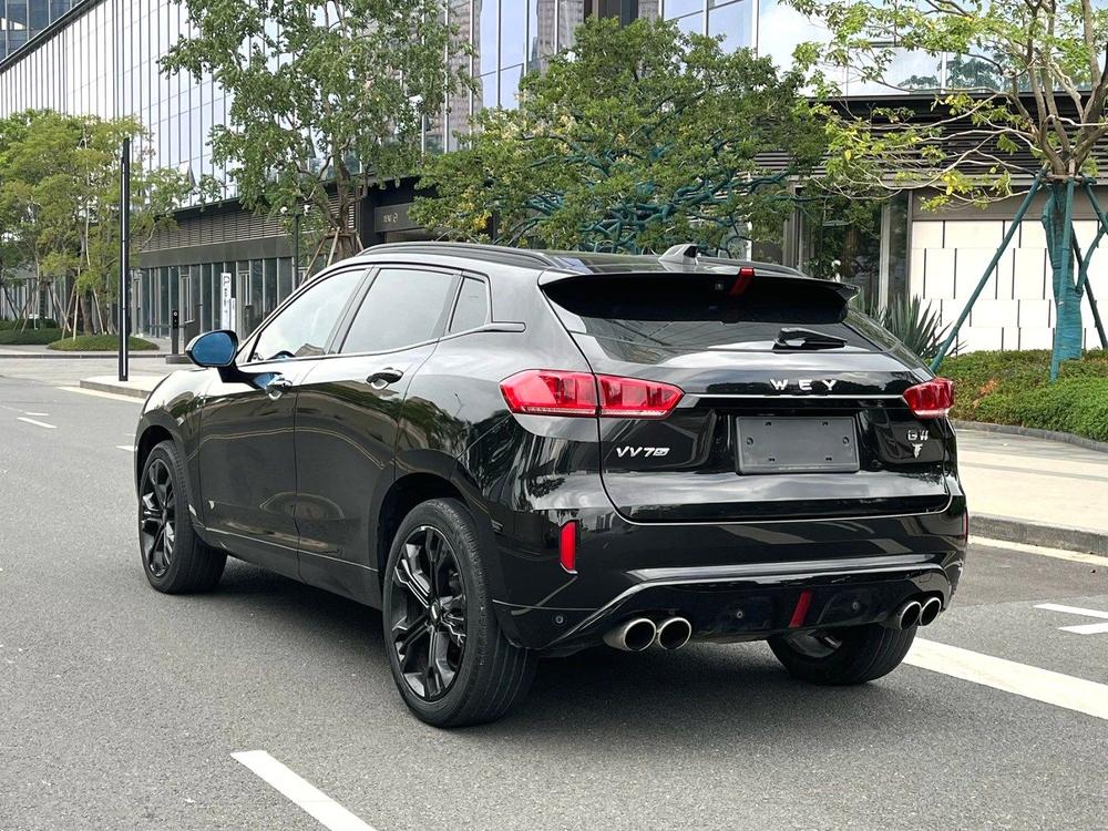 WEY WEY VV7