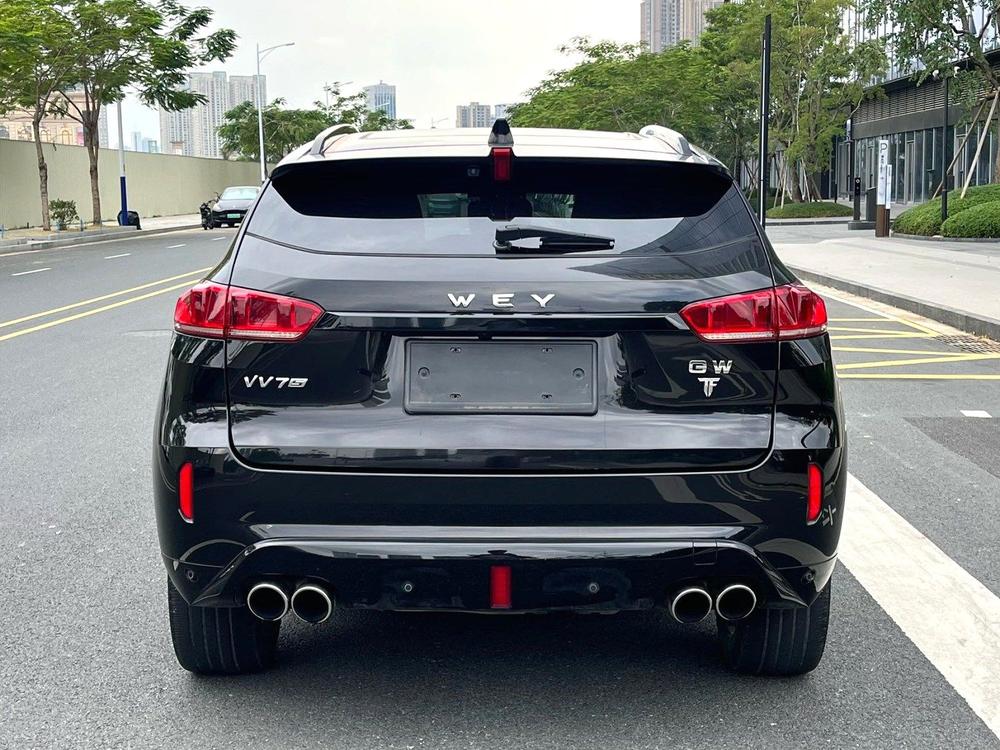 WEY WEY VV7