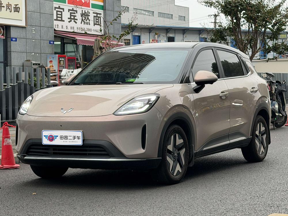 Wuling Bingo S