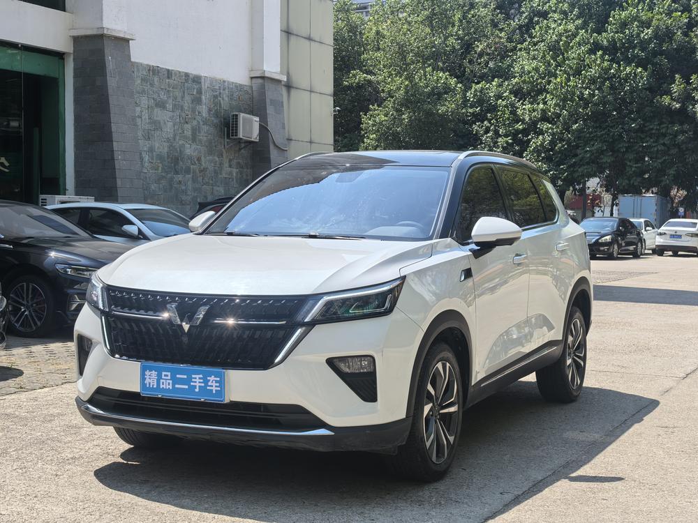 Wuling Wuling Asta