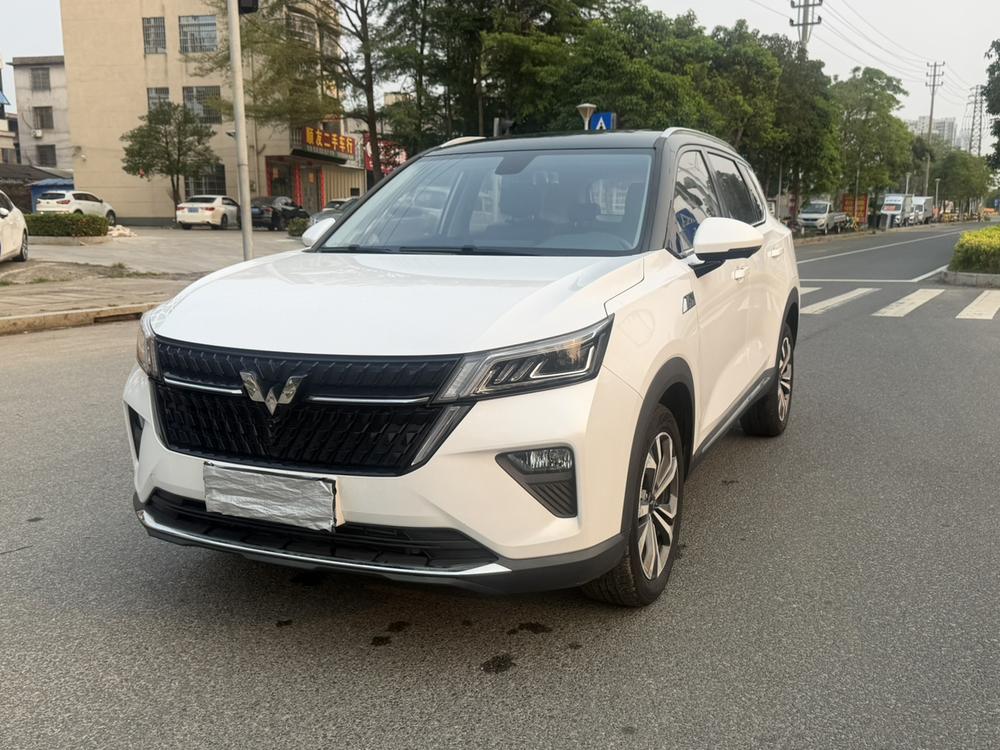 Wuling Wuling Asta