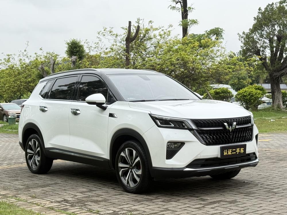 Wuling Wuling Asta