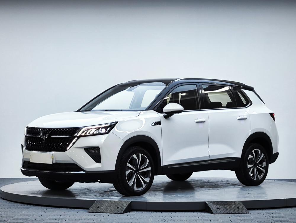 Wuling Wuling Asta