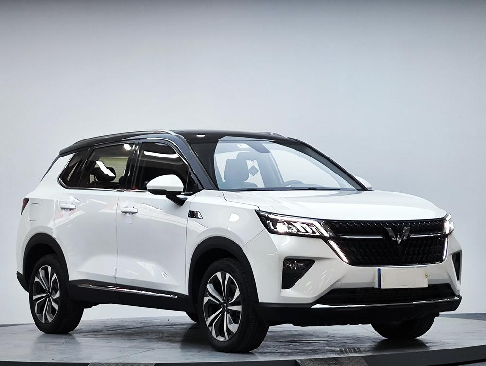 Wuling Wuling Asta