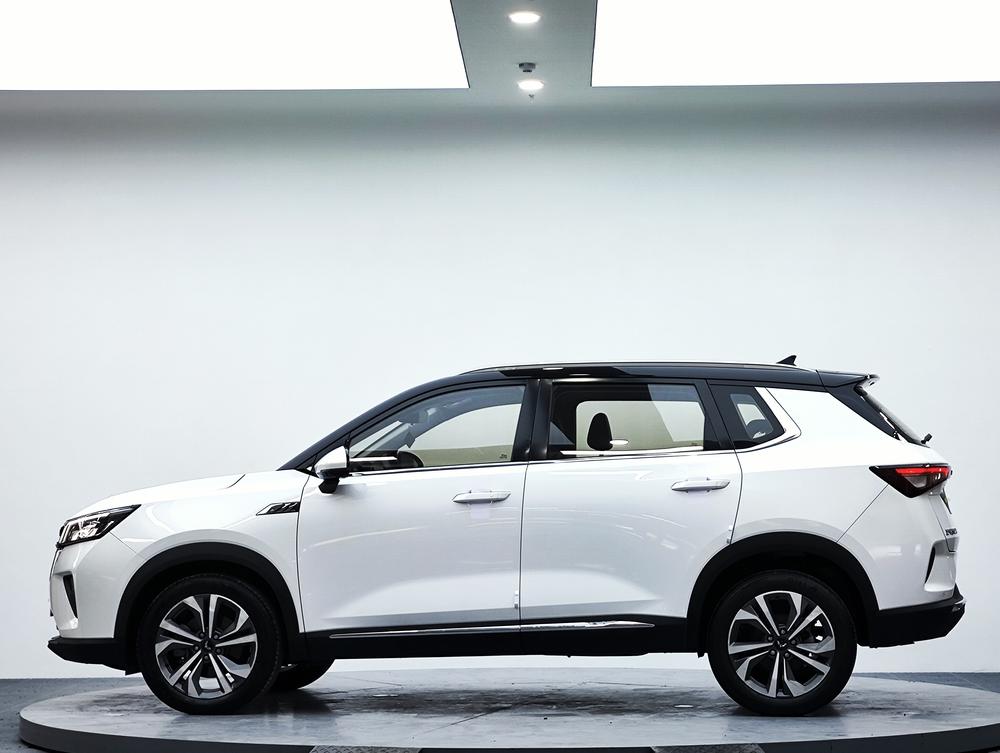 Wuling Wuling Asta
