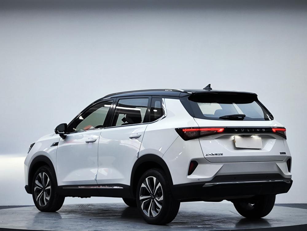 Wuling Wuling Asta