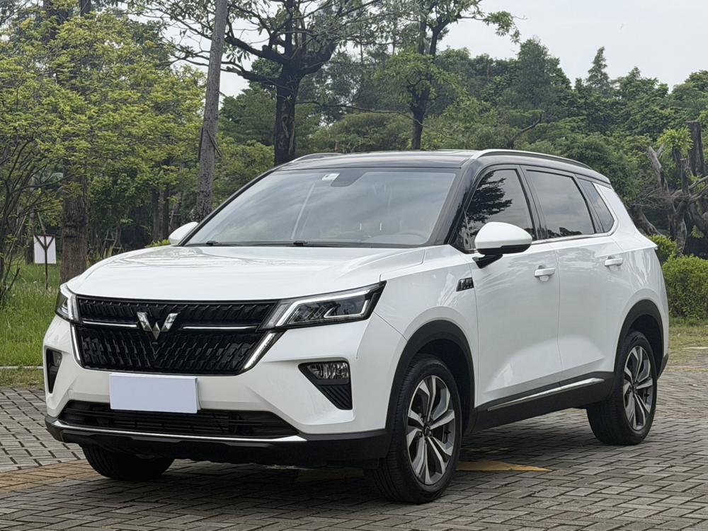 Wuling Wuling Asta