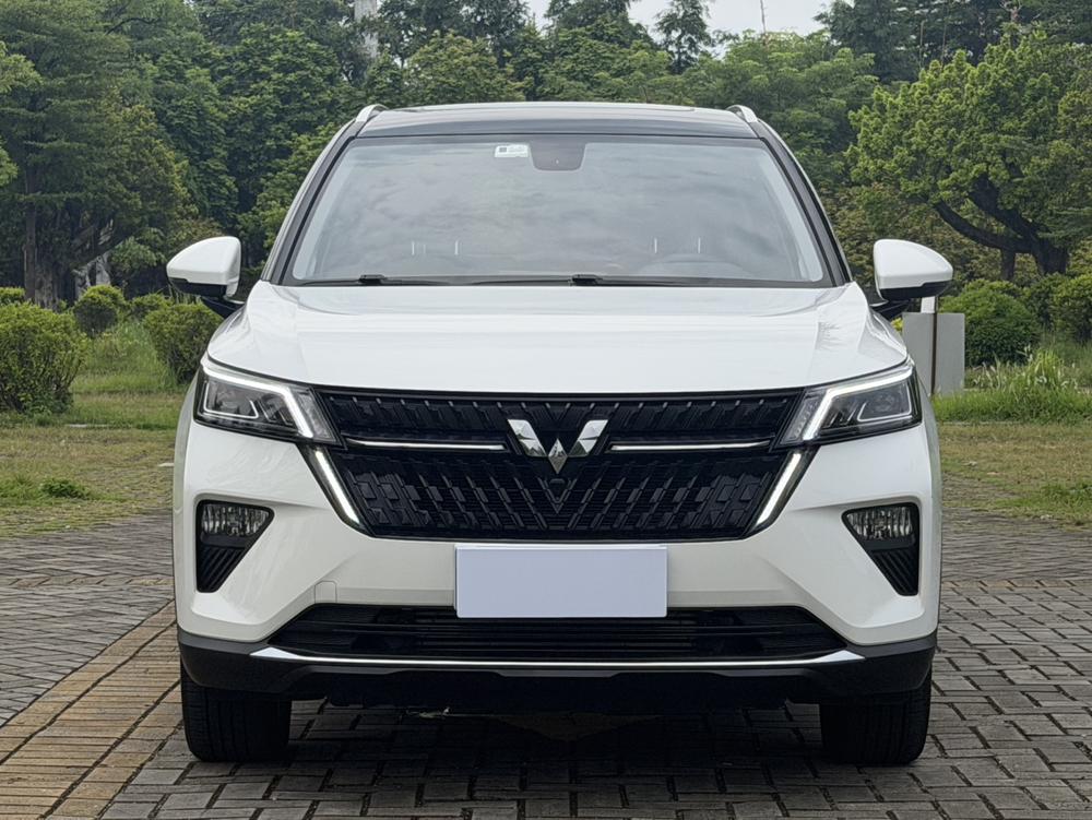 Wuling Wuling Asta