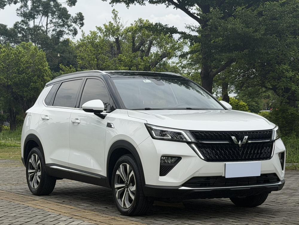 Wuling Wuling Asta