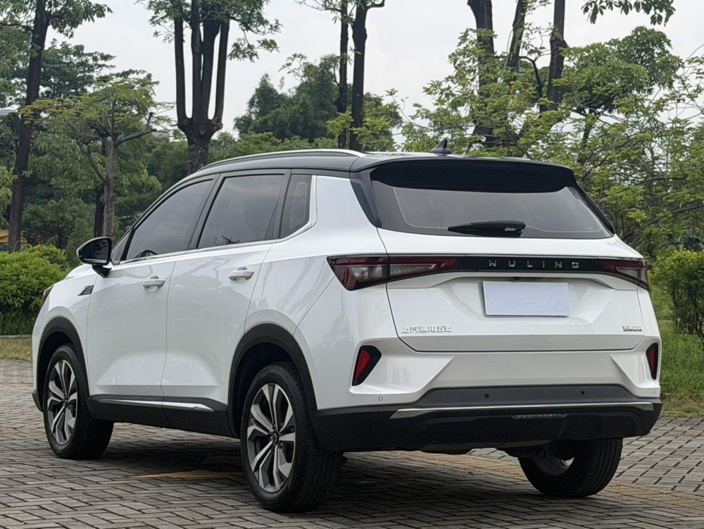 Wuling Wuling Asta