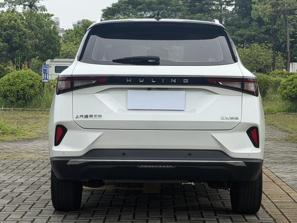 Wuling Wuling Asta