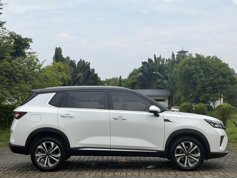 Wuling Wuling Asta