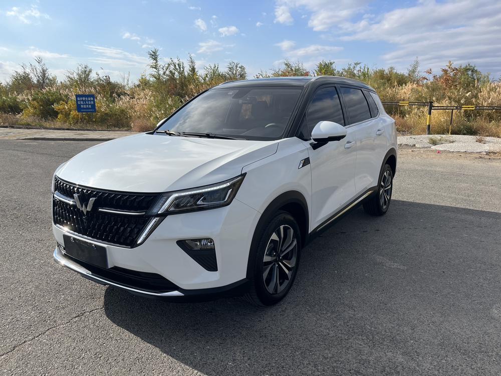 Wuling Wuling Asta